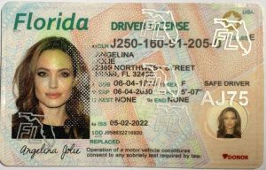 Best Fake ID Websites - Club21IDs: Best Place to Get Fake ID Cards
