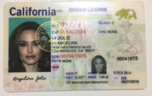 best place to buy fake id - Club21IDs: Best Place to Get Fake ID Cards